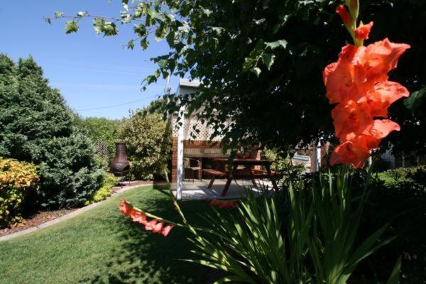Shearwater Cottages Port Sorell Ngoại thất bức ảnh